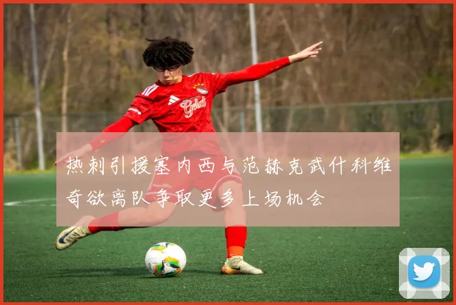 热刺引援塞内西与范赫克武什科维奇欲离队争取更多上场机会