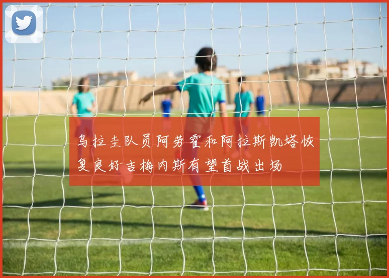 乌拉圭队员阿劳霍和阿拉斯凯塔恢复良好吉梅内斯有望首战出场